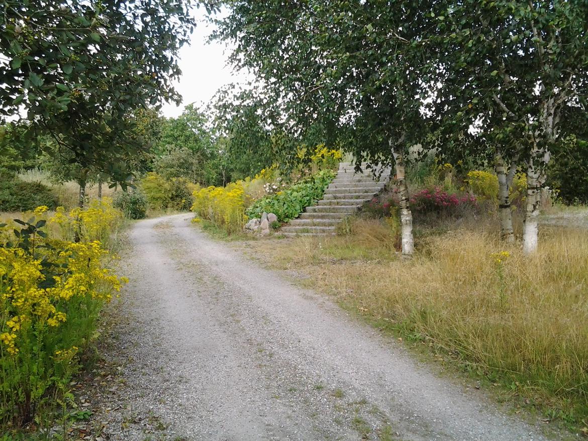 Tur i Forladt Sommerland Syd billede 113