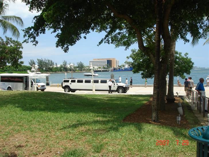 Lige på rundtur i miami i en hummer-limo  billede 5