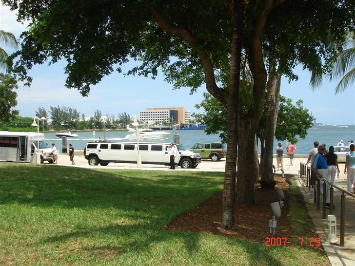 Lige på rundtur i miami i en hummer-limo  billede 6
