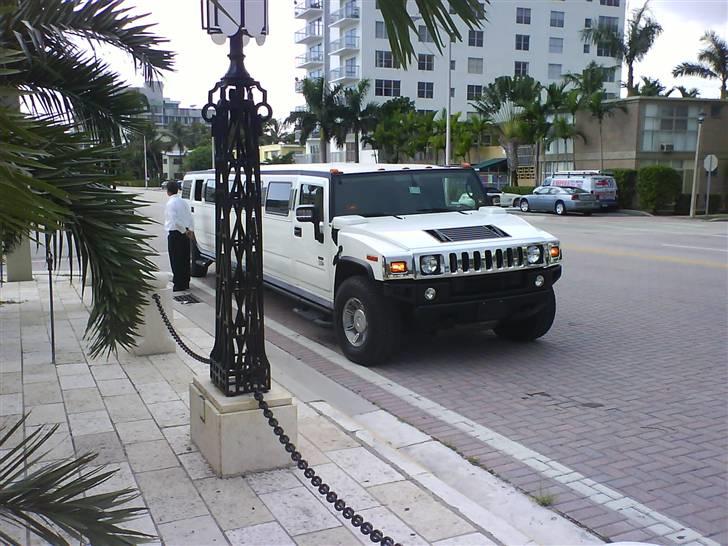 Lige på rundtur i miami i en hummer-limo  billede 7