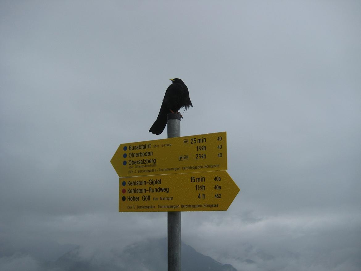 Random Audi Museum Tyskland.. - Vi var også i "Eagle House" Hitlers hus, og så denne krage på skiltet, og den rørte sig ikke trods jeg prikkede til den...  :) billede 10