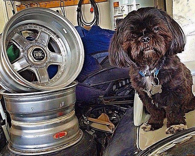 Et par billeder af kult alufælge billede 16