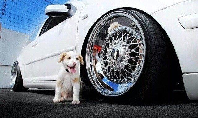 Et par billeder af kult alufælge billede 6