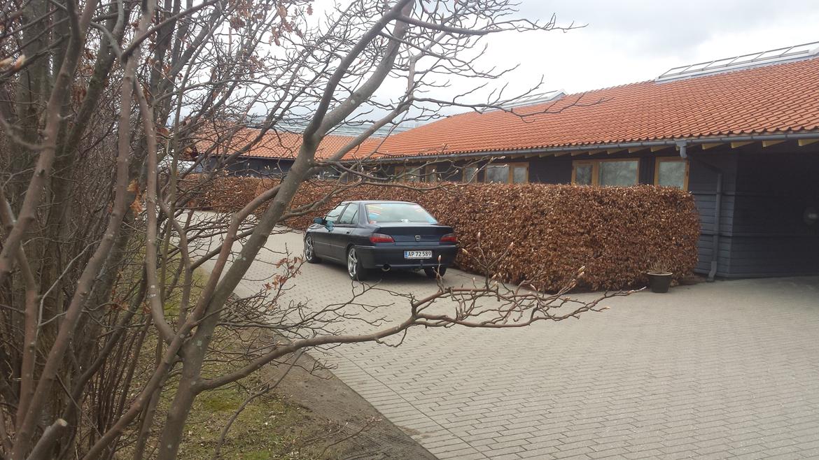 Renovering/Styling/tuning af Peugeot 406 Turbo billede 77