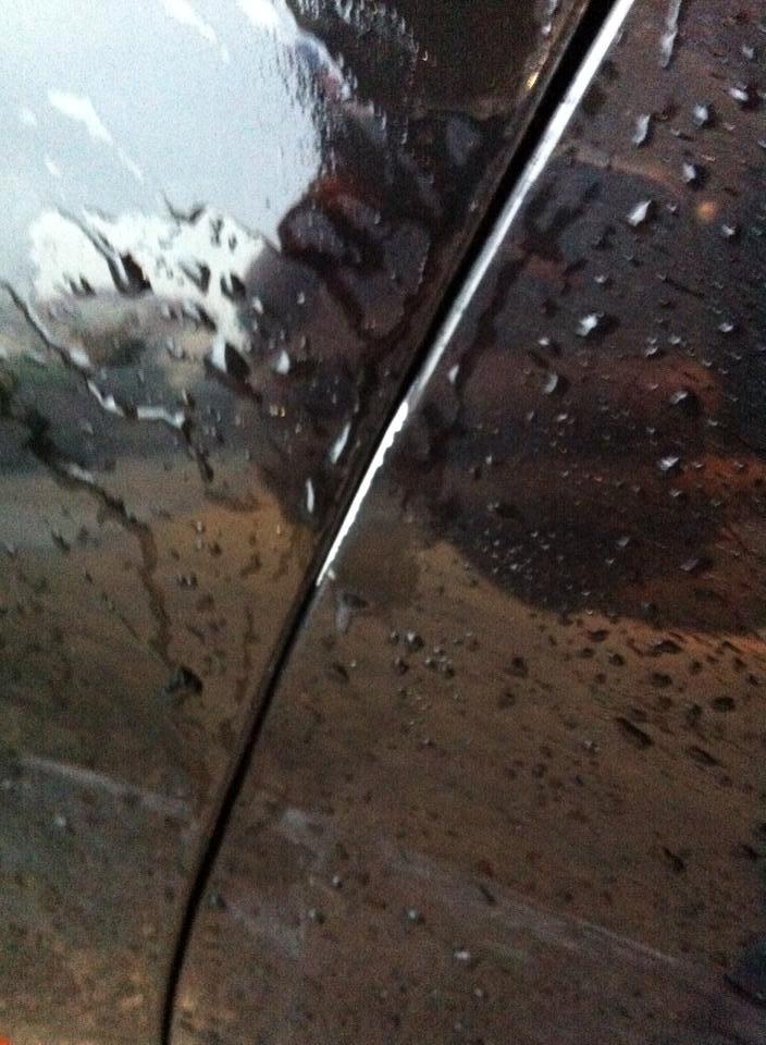 Bilka bule  billede 3