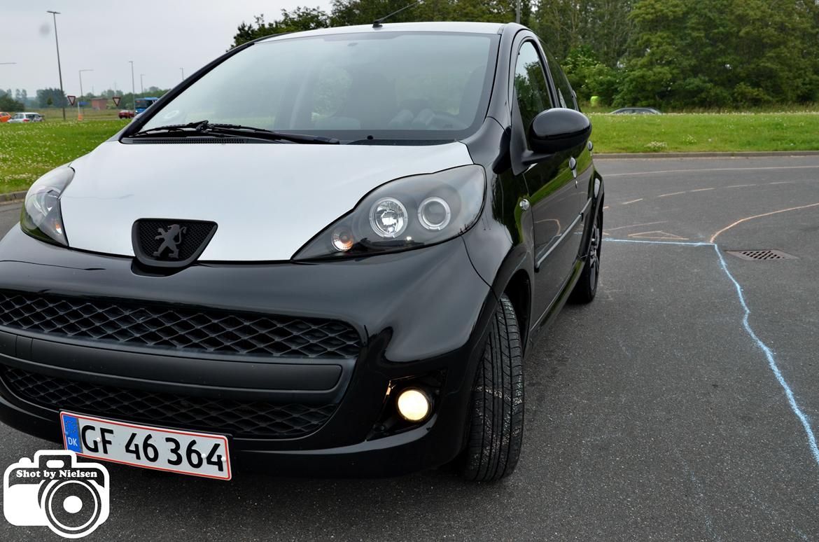 Rullefelts Træf v. Thansen Nykøbing Mors - Fotoshoots. billede 27