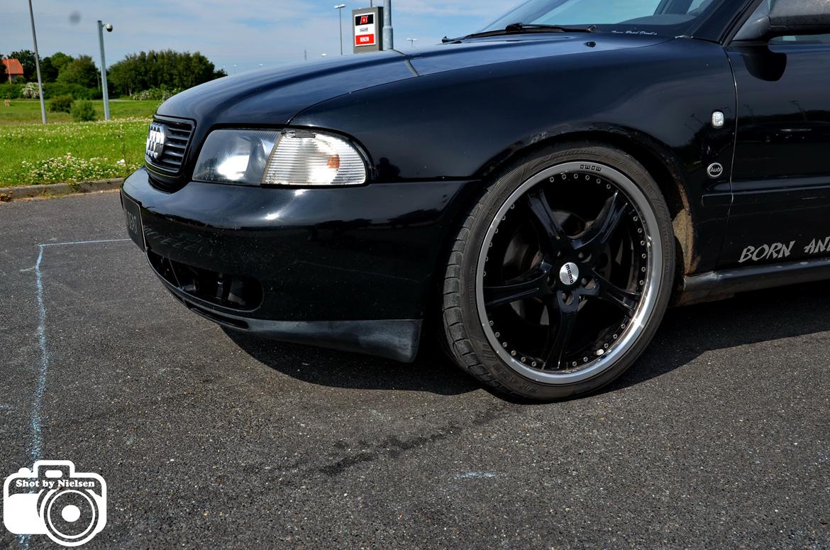 Rullefelts Træf v. Thansen Nykøbing Mors - Fotoshoots. billede 238