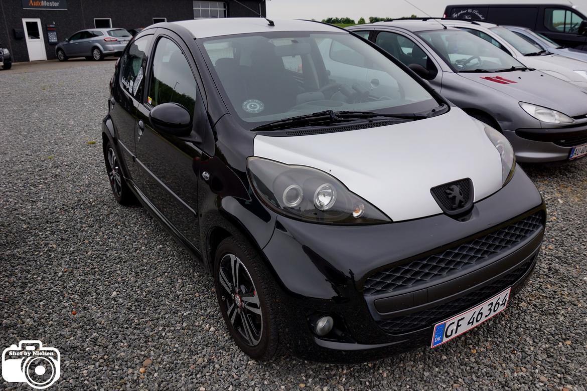 Rullefelts Træf v. Thansen Nykøbing Mors billede 247