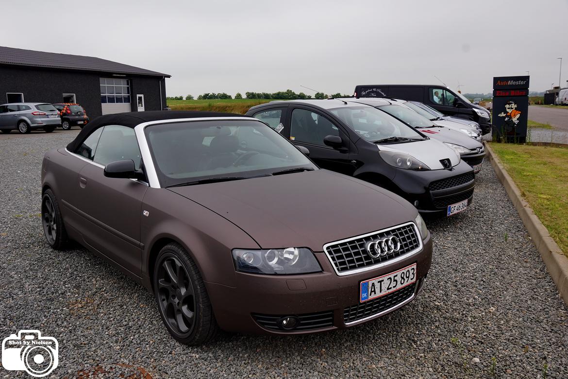 Rullefelts Træf v. Thansen Nykøbing Mors billede 246