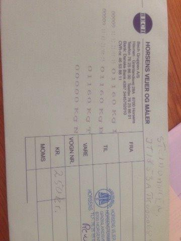 Carina E-xtreme - Officiel vejeseddel. 85kg / en voksen mand tungere end originalt billede 260