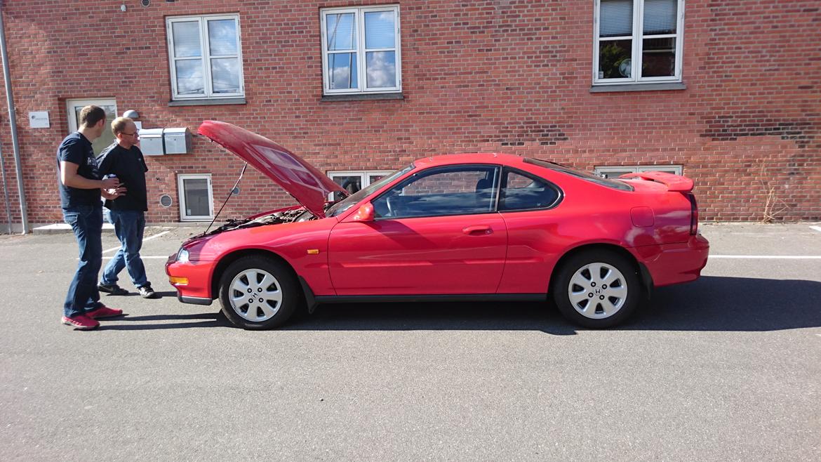 Honda Prelude bb1 - Da vi var ovre og se den første gang. billede 1