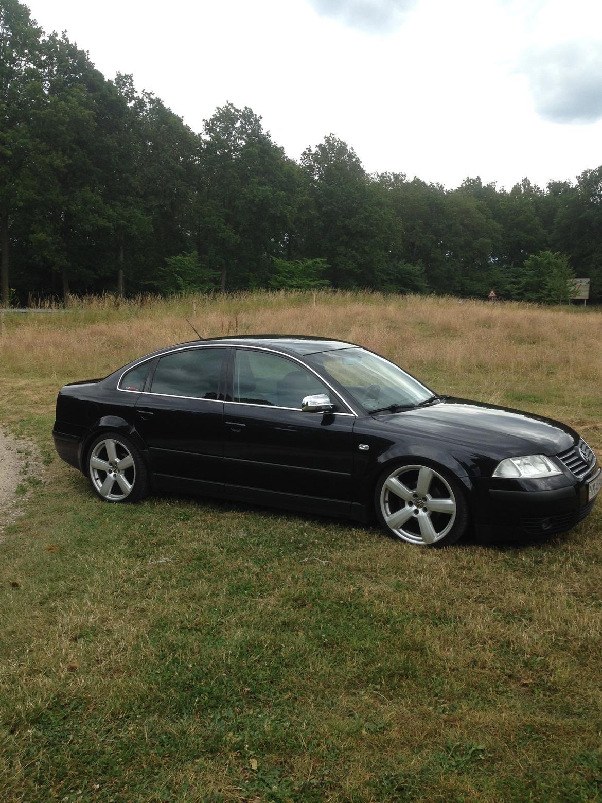 VW Passat 3BG 1,8T  - En lille gevindundervogn skulle der da på, så den kunne komme lidt længere ned :D  billede 4