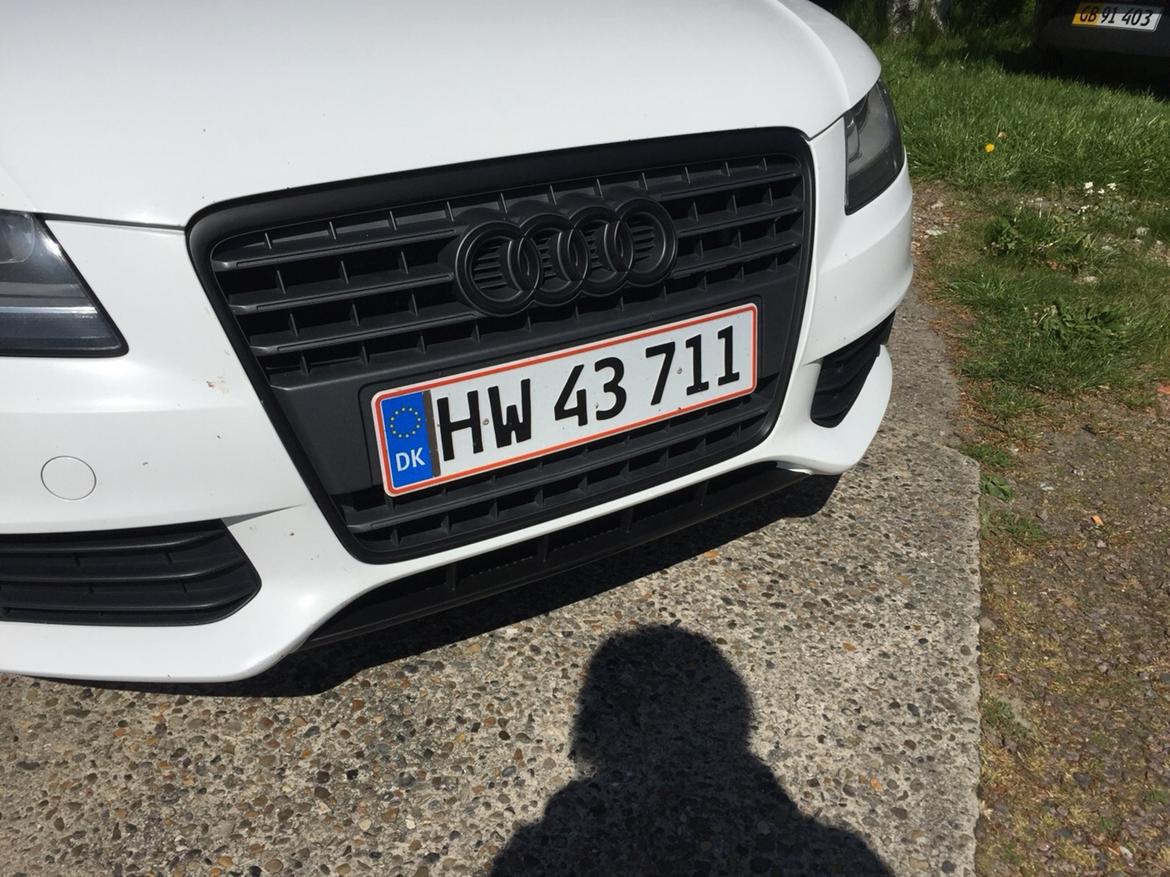 Plasti dip front grill Audi billede 4