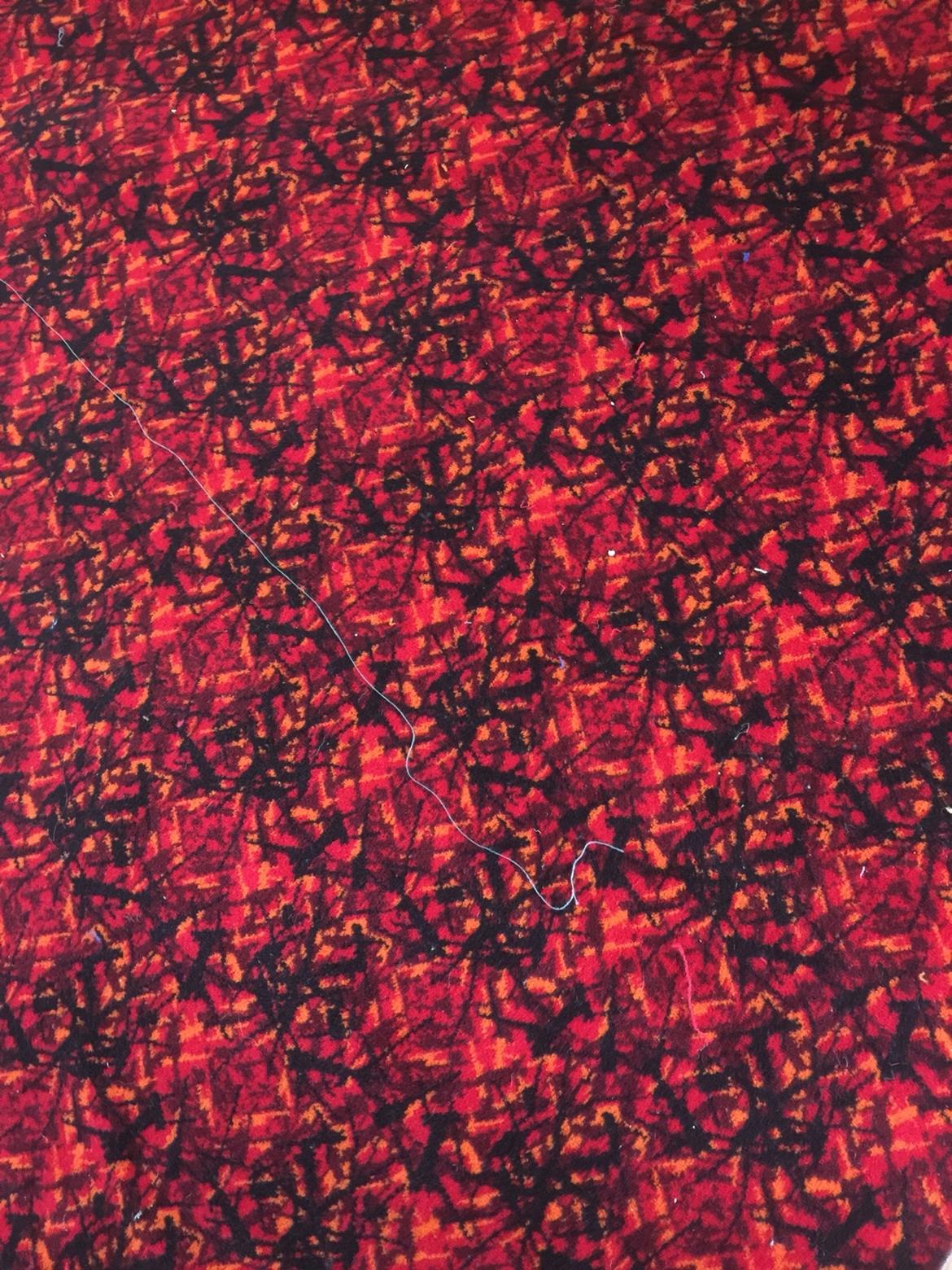 Plysning af bil [Busplys] billede 6