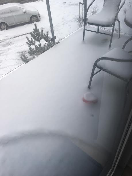 Bmw tæppe billede 15