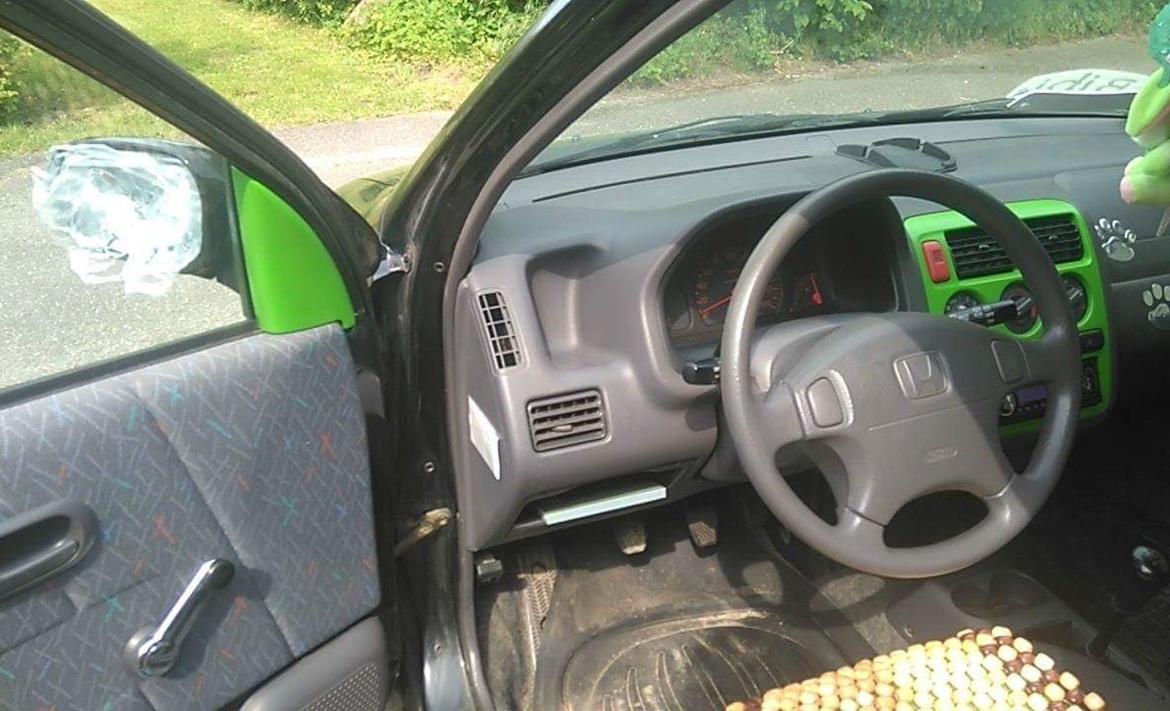 Grønne ting i og på Bibi billede 2