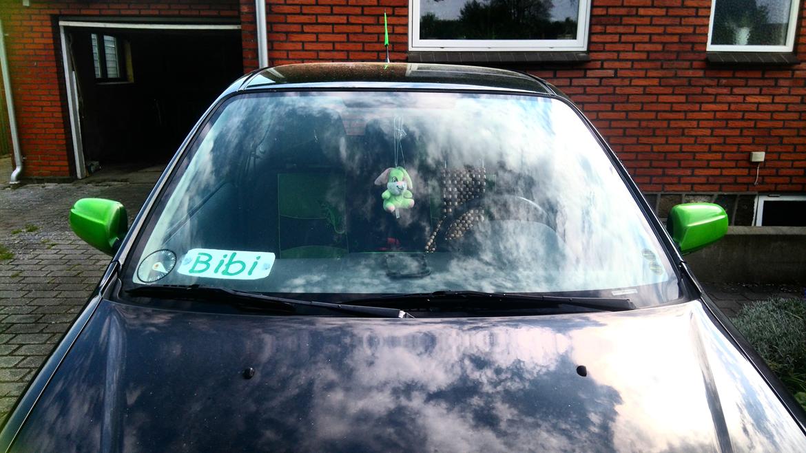 Grønne ting i og på Bibi billede 3