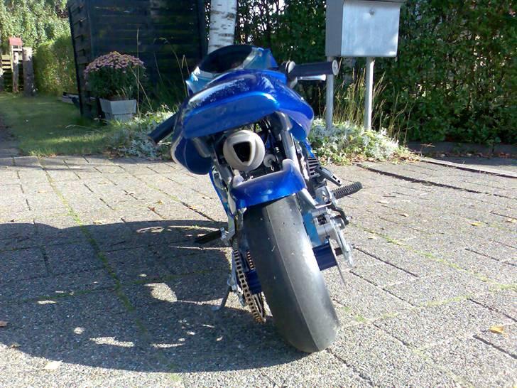 Pocketbike billede 6