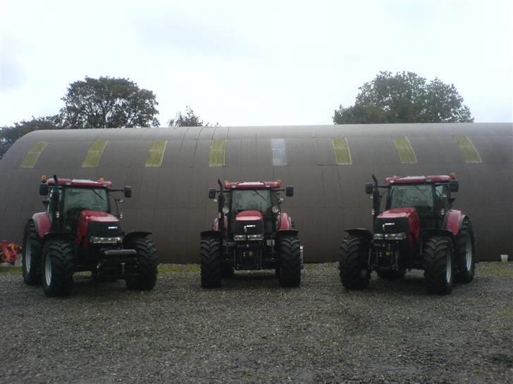 Lidt billeder fra mit arbejde - Her er vores 3 pumaer til fotografering til landsbladet og case magasinet billede 24