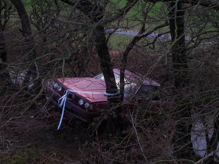 BILLEDER AF BULEDE  BILER - BMW FLOT PARKERET UDEN FOR SKIVE. billede 8