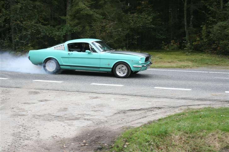 Pony-bil med hestekræfter billede 1