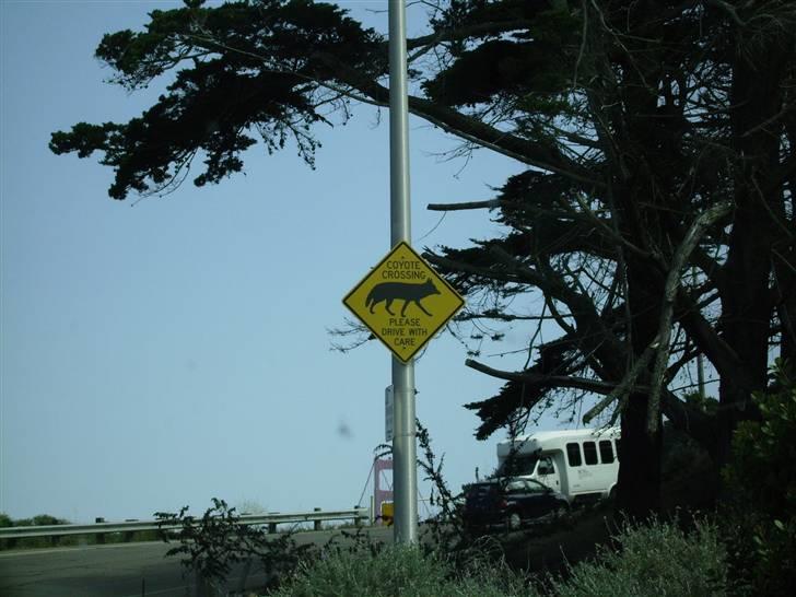 Lidt billeder fra en bilautists USA rejser! - Hmmm - hvem skal nu passer på hvem - og hvad? ;-) billede 77