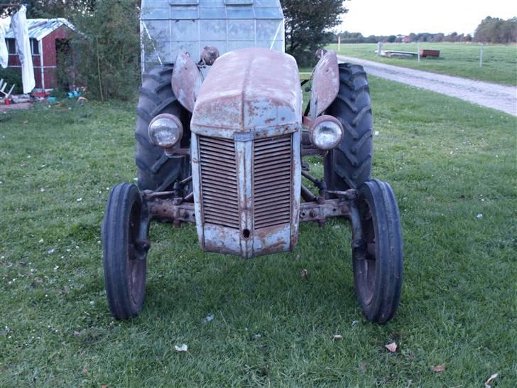 Renovering af æ gammel ferguson - Sådan så den ud da jeg gik i gang med at renovere den billede 3