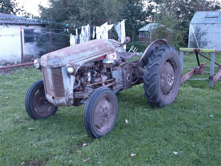 Renovering af æ gammel ferguson - Sådan så den ud da jeg gik i gang med at renovere den billede 4