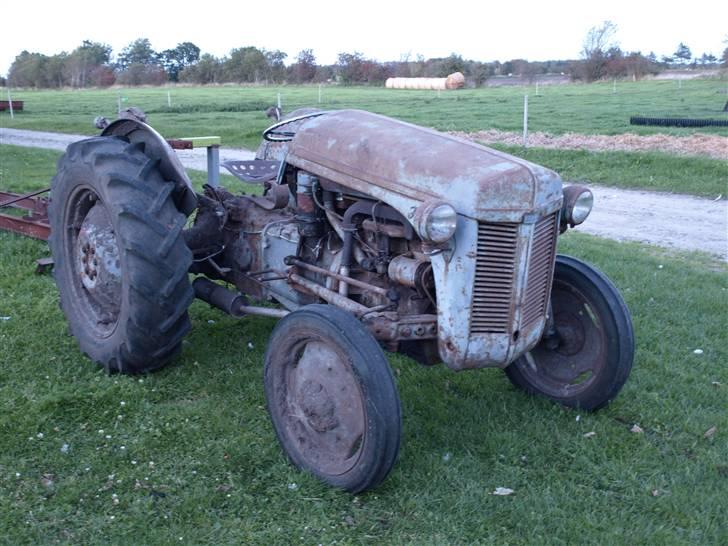 Renovering af æ gammel ferguson - Sådan så den ud da jeg gik i gang med at renovere den billede 5