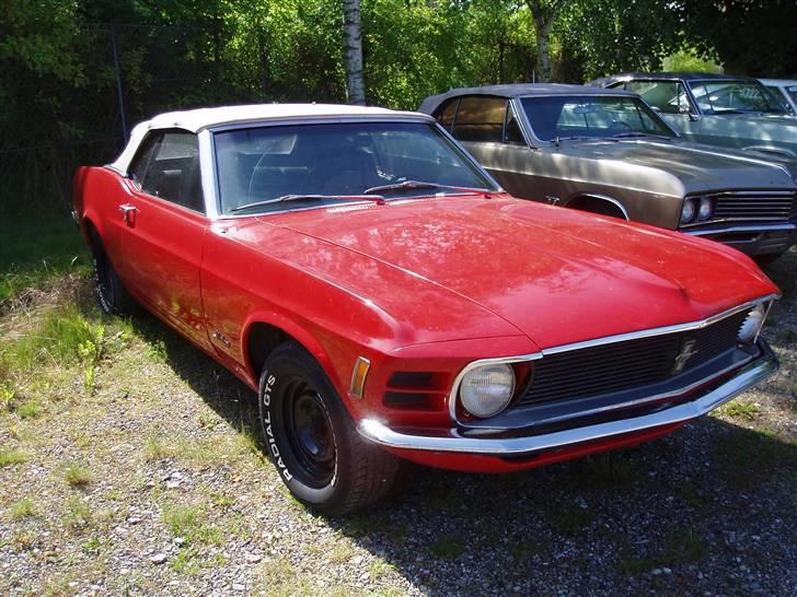 Min bil samling - 70 v8 mustang cab billede 35