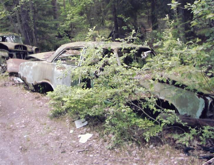 Bilkirkegård i Ryd i Sverige..... - Taunus P3 set skråt forfra.... Der er ikke meeget tilbage.
 billede 7