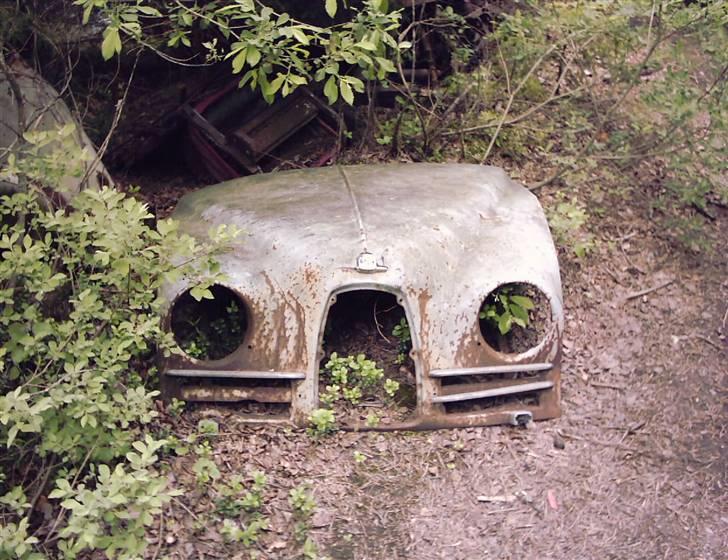 Bilkirkegård i Ryd i Sverige..... - Saab motorhjelm - måske til ovenstående Saab?
 billede 17