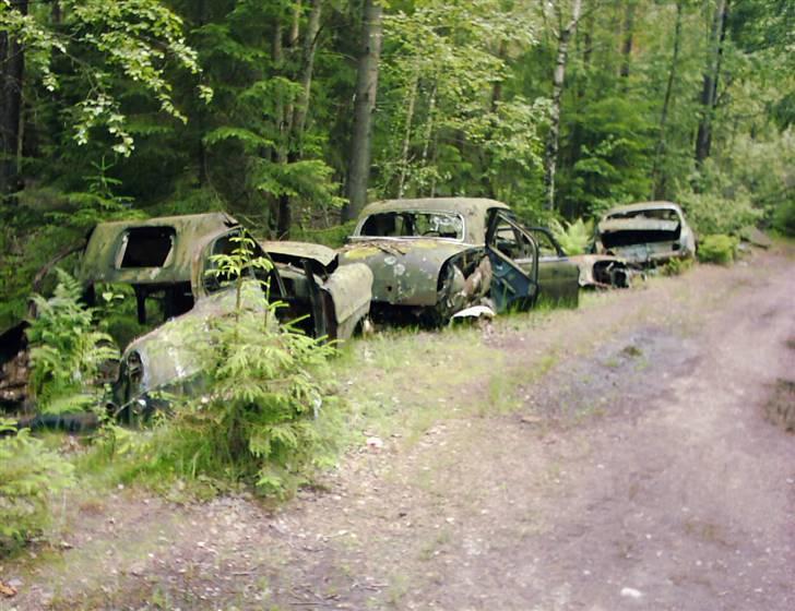 Bilkirkegård i Ryd i Sverige..... - Mercedes og Taunus P3 igen igen...... Meen bilen i forgrunden, kan jeg ikke bestemme hvad er... Kan i?
 billede 19