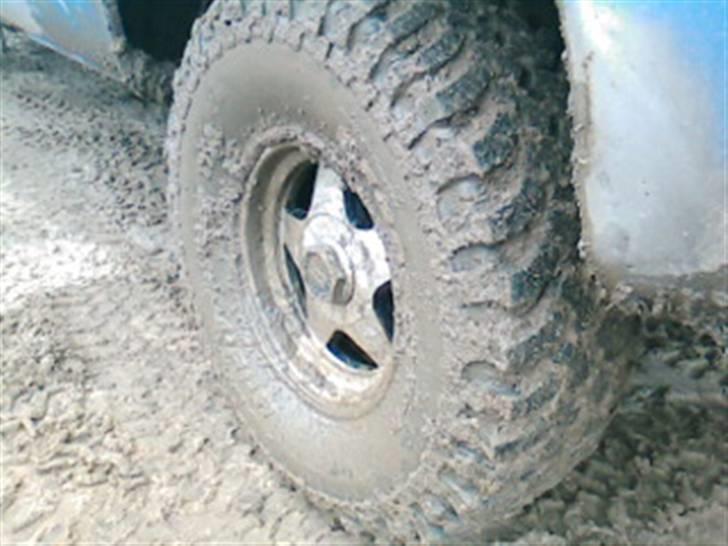 Skave grusgrav ( undskyld den dårlige billedkvalitet ) billede 17