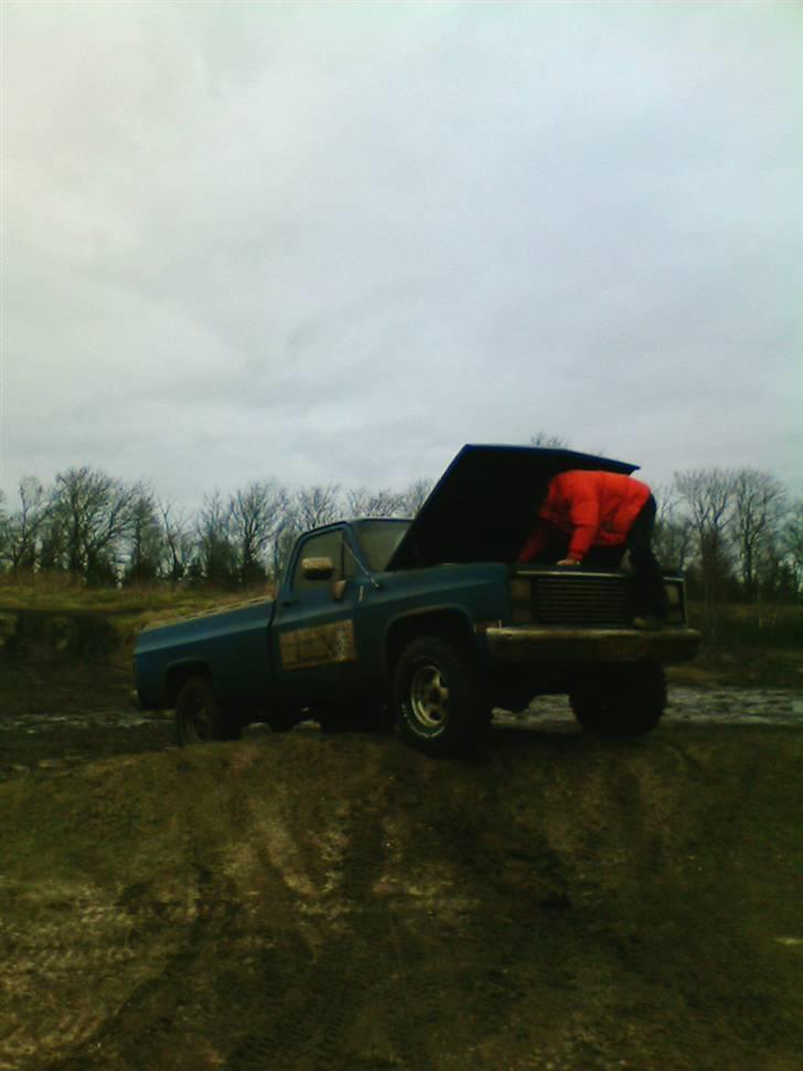 Skave grusgrav ( undskyld den dårlige billedkvalitet ) billede 25