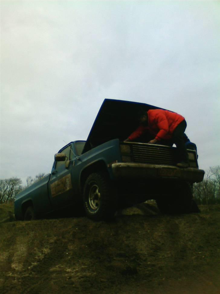 Skave grusgrav ( undskyld den dårlige billedkvalitet ) billede 26