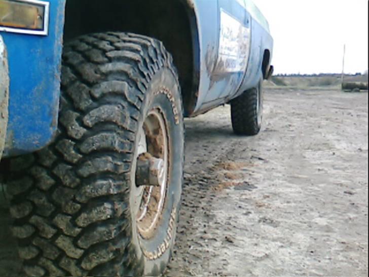 Skave grusgrav ( undskyld den dårlige billedkvalitet ) billede 42