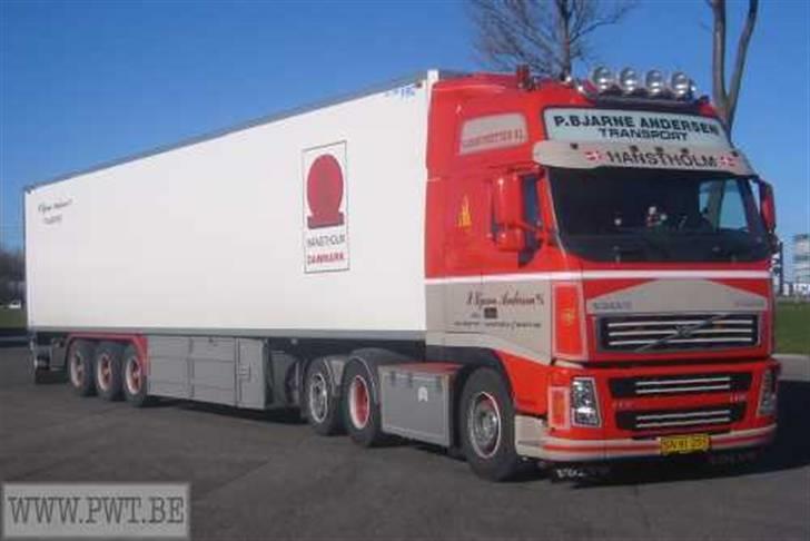 P. Bjarne Andersen billede 230