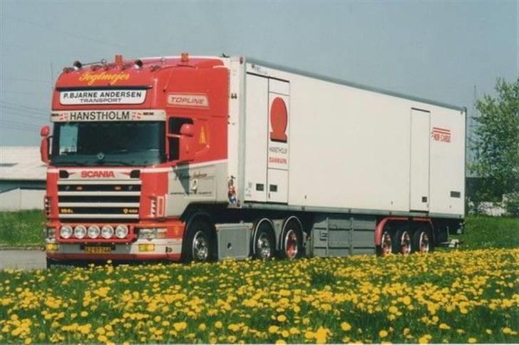 P. Bjarne Andersen billede 250