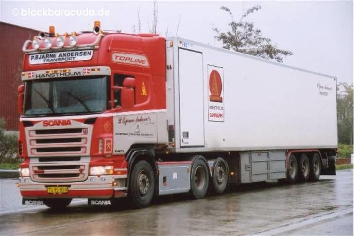 P. Bjarne Andersen billede 251