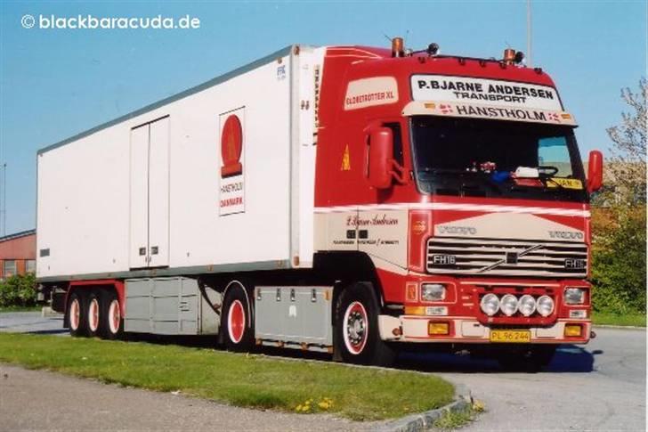 P. Bjarne Andersen billede 253