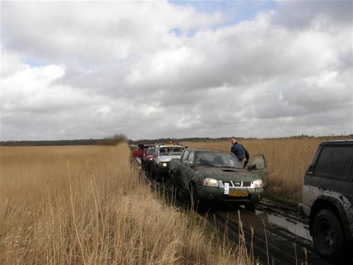 Posteløb 4x4 nissan billede 14