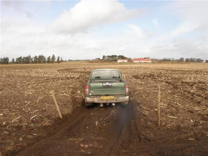 Posteløb 4x4 nissan billede 23