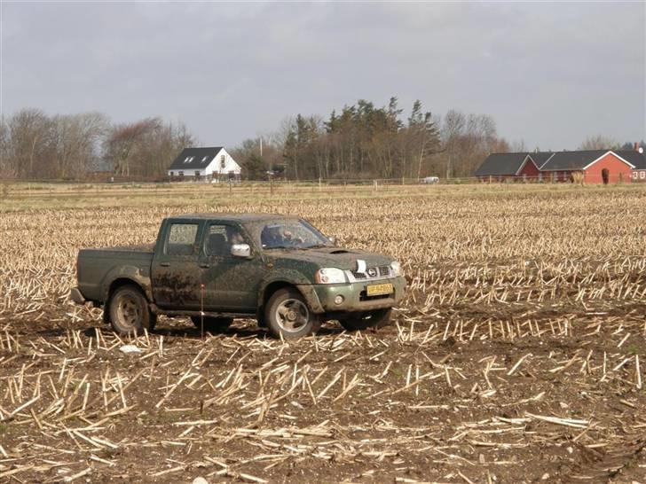 Posteløb 4x4 nissan billede 24