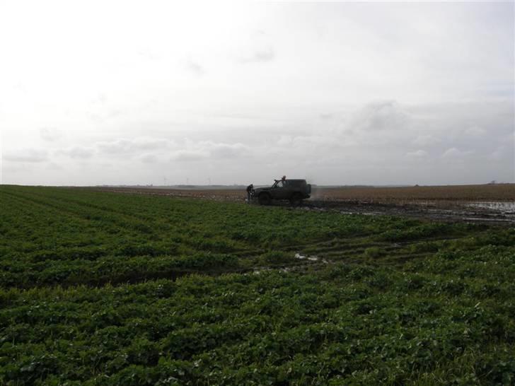 Posteløb 4x4 nissan billede 35