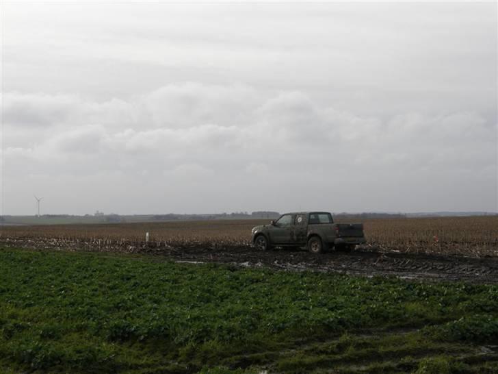 Posteløb 4x4 nissan billede 38