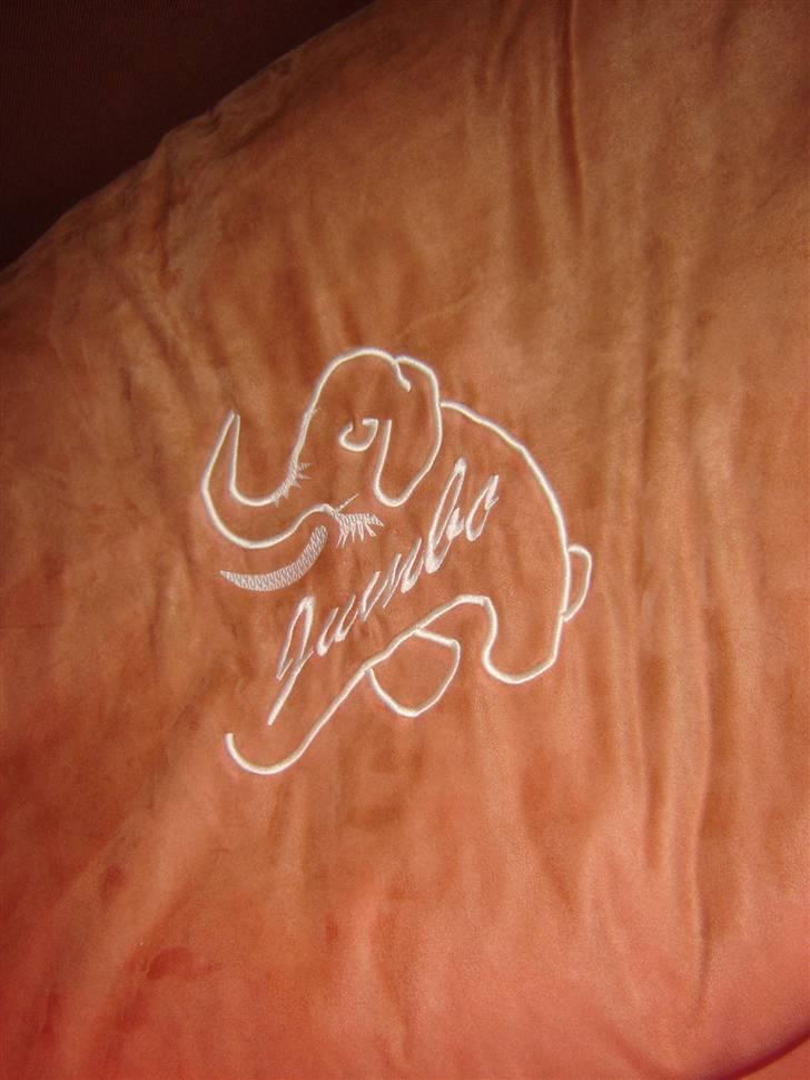 Volvo FH16 660 8x4 - Lille søde JUMBO billede 35