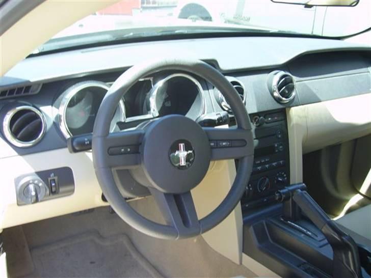 Lidt billeder fra en bilautists USA rejser! - Mustang. billede 3