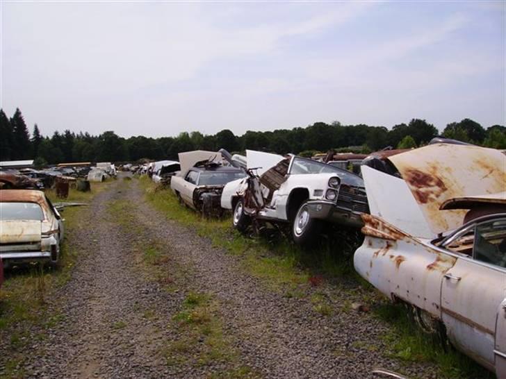 Lidt billeder fra en bilautists USA rejser! - Bilkirkegård - Caddilac Avenue. billede 29