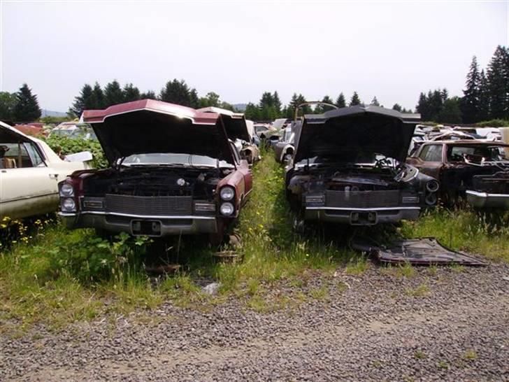 Lidt billeder fra en bilautists USA rejser! - Bilkirkegård - Caddilac Avenue. billede 30